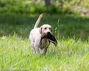 20160604-seaw-0414