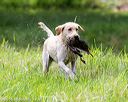 20160604-seaw-0415