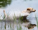 20160604-seaw-0428