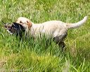 20160604-seaw-0480