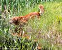20160604-seaw-0484