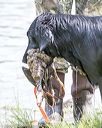 20160604-seaw-0567