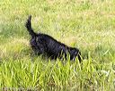 20160604-seaw-0577
