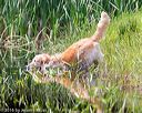 20160604-seaw-0583