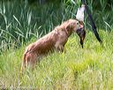20160604-seaw-0592