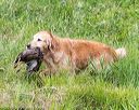 20160604-seaw-0640