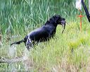 20160604-seaw-0714
