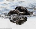 20160604-seaw-0722