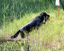 20160604-seaw-0772
