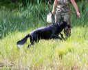 20160604-seaw-0775