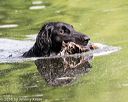 20160604-seaw-0797
