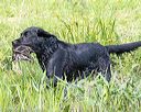 20160604-seaw-0872