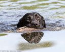 20160604-seaw-0967