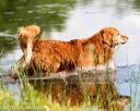 20160604-seaw-1002