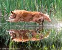 20160604-seaw-1053