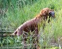 20160604-seaw-1063
