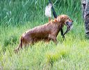 20160604-seaw-1067