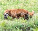 20160604-seaw-1128