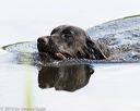 20160604-seaw-1159