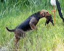20160604-seaw-1222