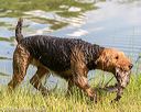20160604-seaw-1246