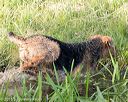 20160604-seaw-1261