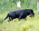 20160604-seaw-1277