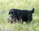 20160604-seaw-1325