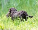 20160604-seaw-1340