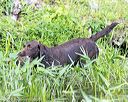 20160604-seaw-1366