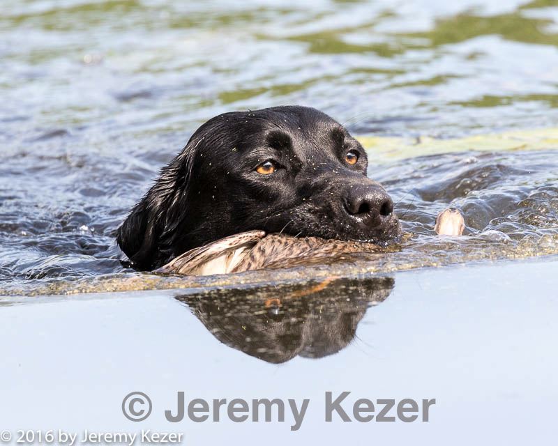 20160604-seaw-0968.jpg