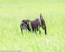 20160605-shrl-0004