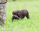 20160605-shrl-0006