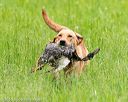 20160605-shrl-0067