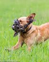 20160605-shrl-0093
