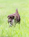 20160605-shrl-0154