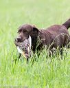 20160605-shrl-0156
