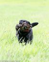 20160605-shrl-0229