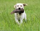 20160605-shrl-0302