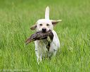 20160605-shrl-0303