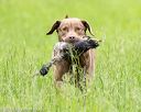 20160605-shrl-0398