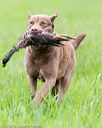 20160605-shrl-0438