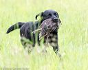 20160605-shrl-0503