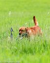 20160605-shrl-0710