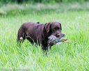 20160605-shrl-0919