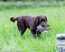 20160605-shrl-0921