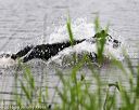 20160605-shrw-0241