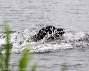 20160605-shrw-0244
