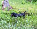 20160605-shrw-0337