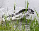 20160605-shrw-0352